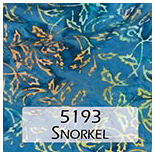 5193 Snorkel