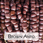 Brown Antq.