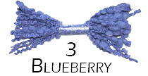 3 Blueberry Popcorn