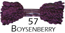 57 Boysenberry