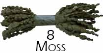 8 Moss Popcorn