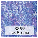 3859 Iris Bloom