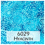 6029 Hyacinth
