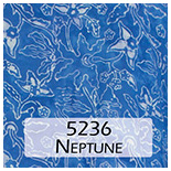 5236 Neptune