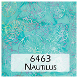 6463 Nautilus