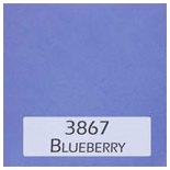 3867 blueberry